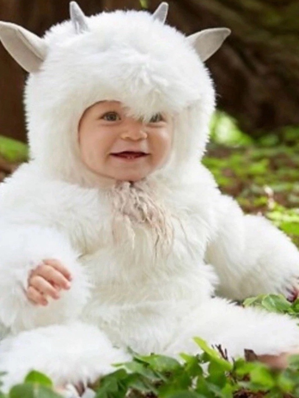 NWT Pottery Barn Kids Woodland Goat Baby Costume